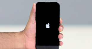 Нажатие есть, реакции нет: как понять, что происходит с кнопкой «Домой» на iPhone